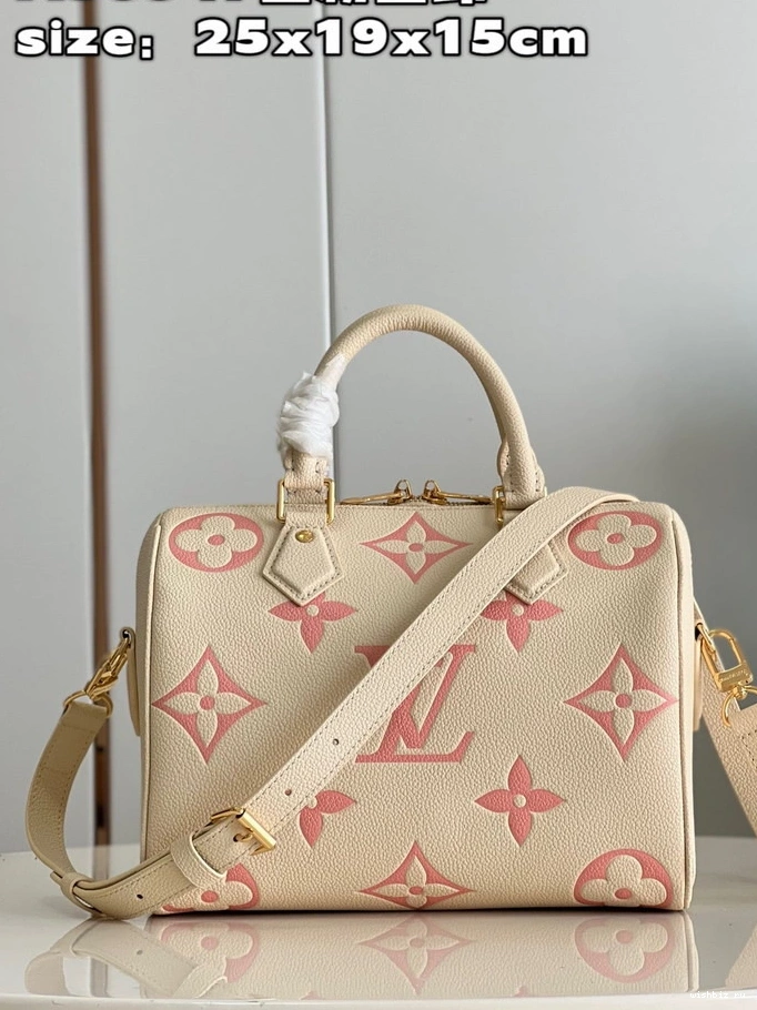 WIS SPEEDY BANDOULIÈRE LOUIS VUITTON 25 0918